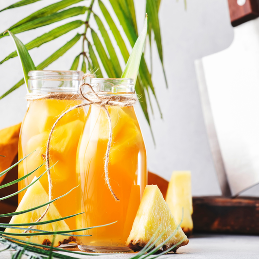 Wasserkefir Starter Set