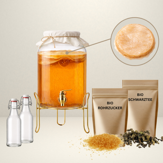 Kombucha Starter Set