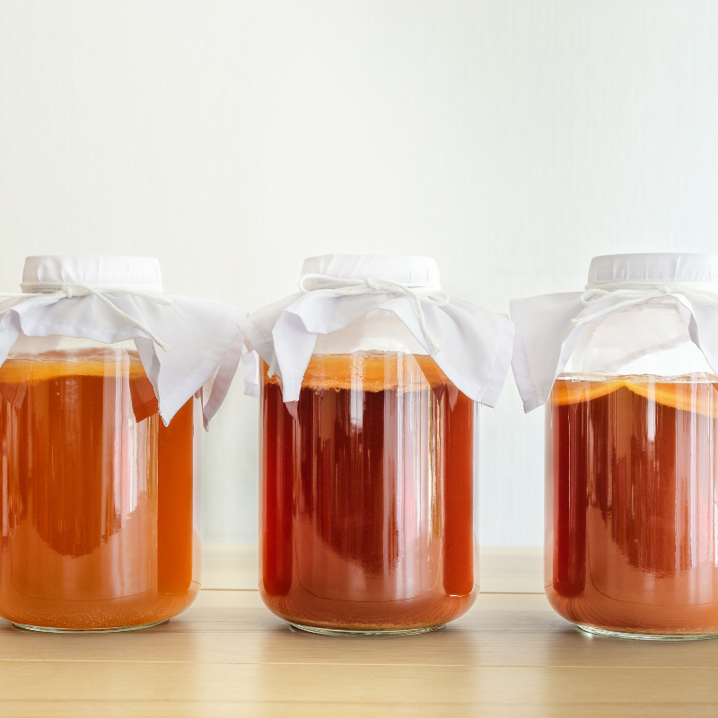 Kombucha Starter Set