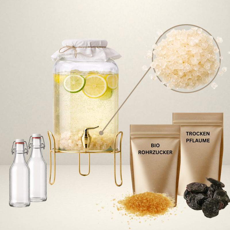 Wasserkefir Starter Set