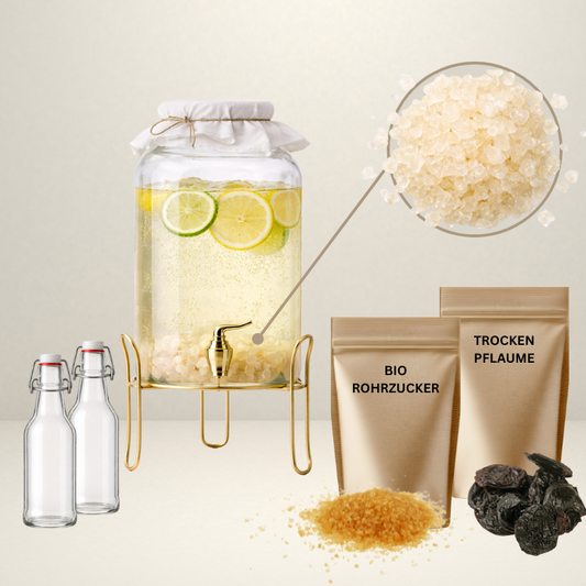 Wasserkefir Starter Set
